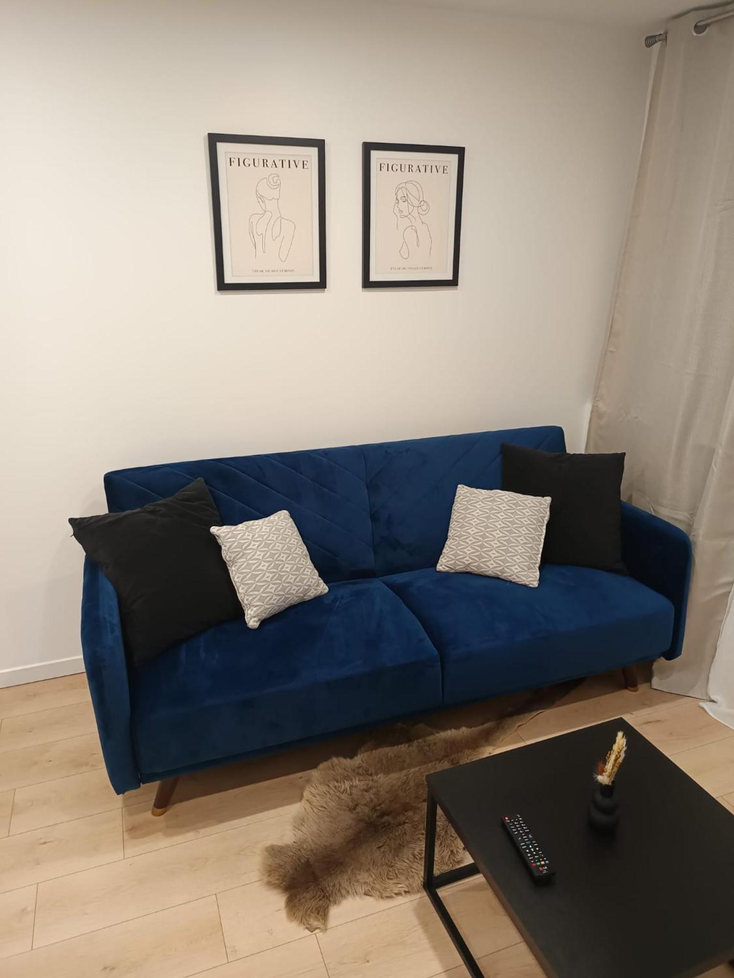 Superbe Appartement ! Saint-Etienne  Exteriör bild